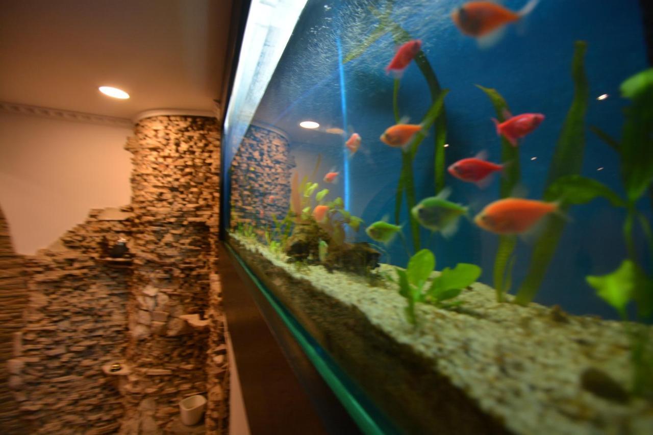 Gala - Guesthouse Oradea Luaran gambar